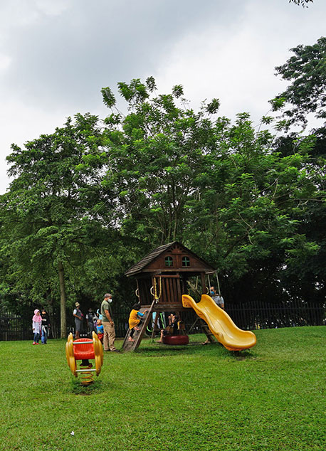 R Garden