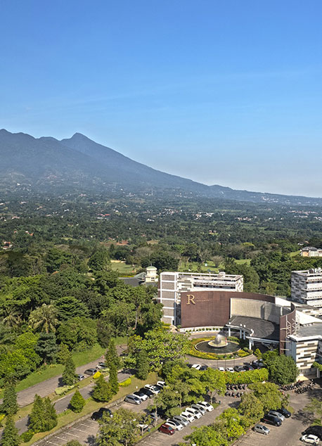 Hotel View 
